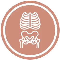 Chiropractic Blaine MN X Ray Icon