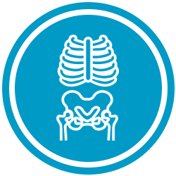 XRay Icon
